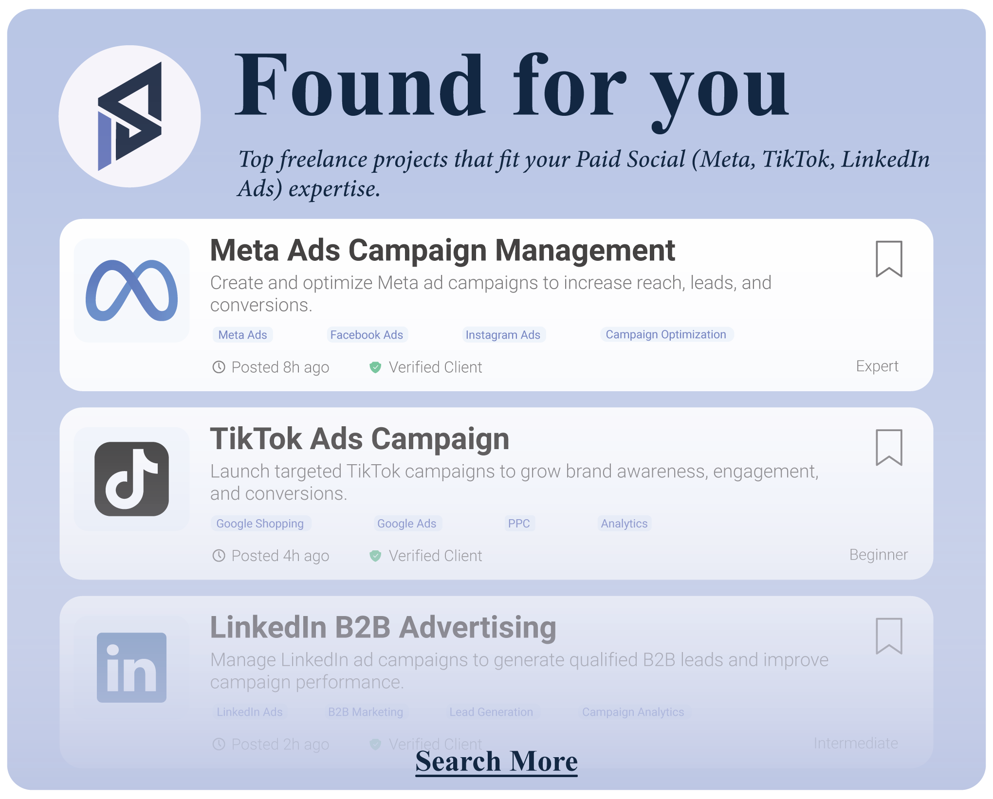 Paid Social (Meta, TikTok, LinkedIn Ads)